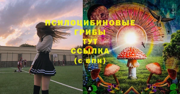 бутират Баксан