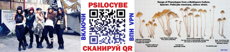 OMG   Вуктыл  Галлюциногенные грибы Magic Shrooms 